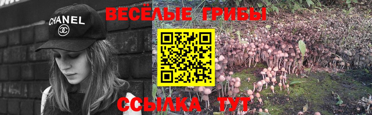Галлюциногенные грибы GOLDEN TEACHER Амурск