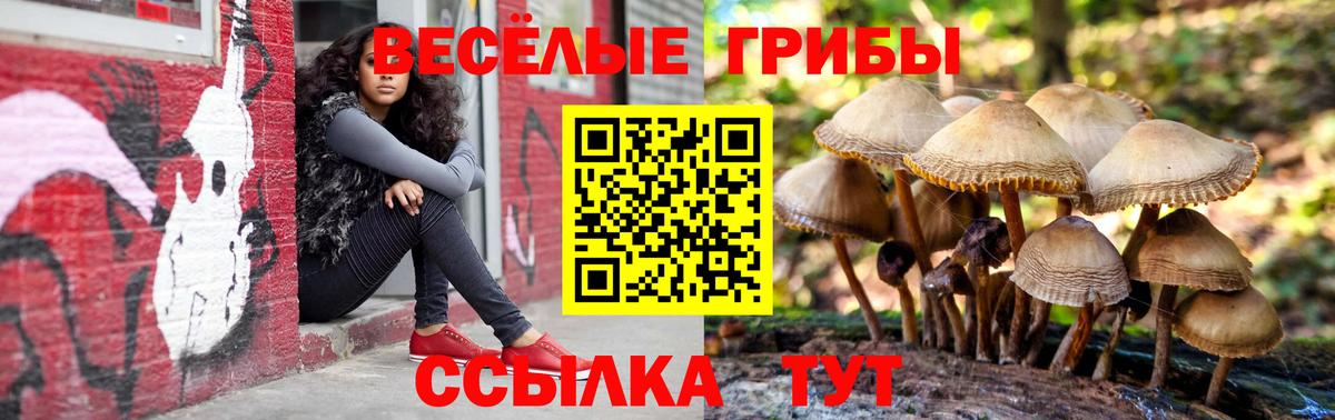 Амурск  Галлюциногенные грибы прущие грибы  Псилоцибиновые грибы GOLDEN TEACHER  Вход с VPN 